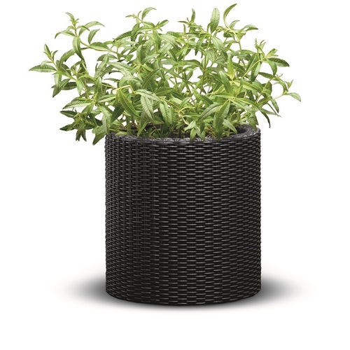 KETER Květináč Cylinder Planter S